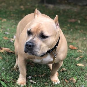 Meet your Posher, Sheene